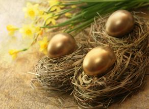 retirement, nest egg