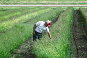 hs-nia-farmers-forum-2012